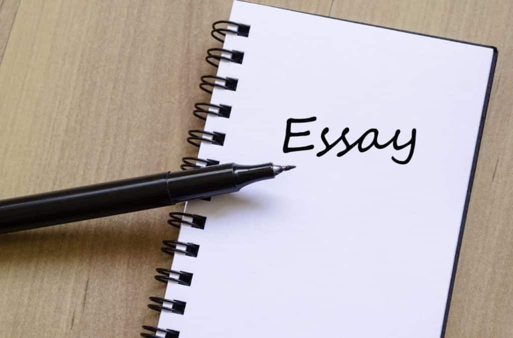summary response essay nasıl yazılır