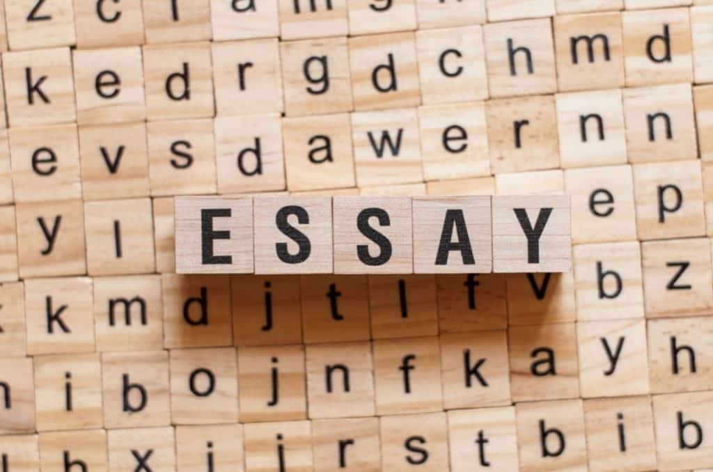 AP Language and Composition Argument Essay